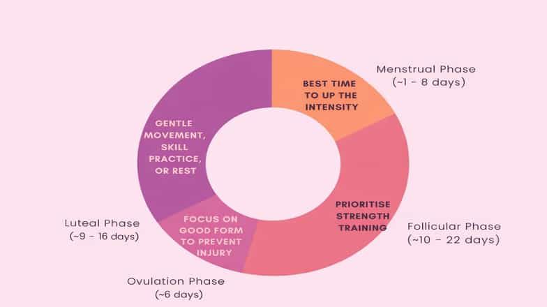 Cycle-based training chart showing how exercise focus changes across menstrual, follicular, ovulation and luteal phases
