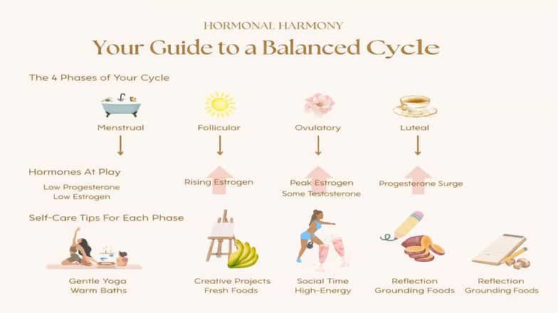 Infographic explaining the four phases of the menstrual cycle with hormones and self-care tips for each stage