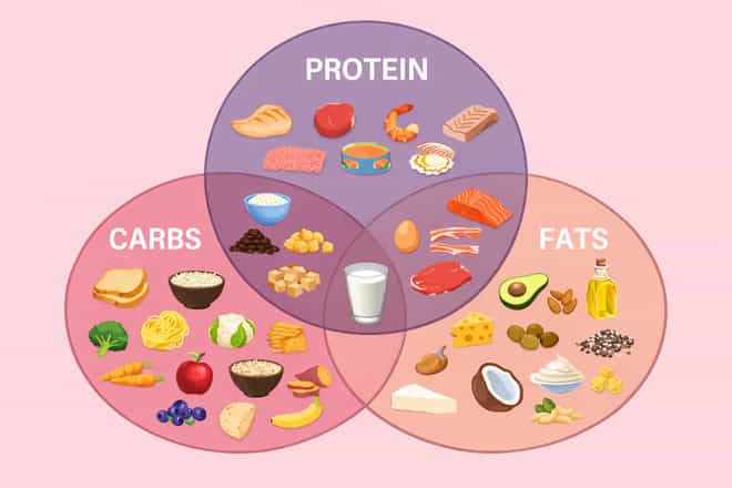 Diagram showing protein, carbs and fats food sources to illustrate macronutrient balance for stable energy levels
